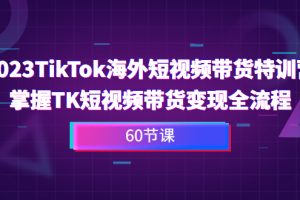 （6890期）2023-TikTok海外短视频带货特训营，掌握TK短视频带货变现全流程（60节课）