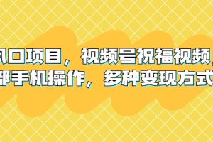 （6895期）新风口项目，视频号祝福视频，一部手机操作，多种变现方式