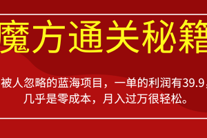 （6936期）被人忽略的蓝海项目，魔方通关秘籍一单利润有39.9，几乎是零成本，月….