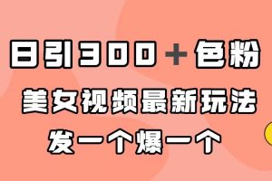 （7273期）日引300＋色粉，美女视频最新玩法，发一个爆一个