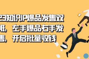 （7426期）2023知识IP-爆品发售双 阶班，左手爆品右手发售，开启批量收钱