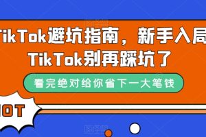 （7460期）TikTok·避坑指南，新手入局Tk别再踩坑了（10节课）