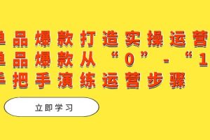 （7488期）单品爆款打造实操运营，单品爆款从“0”-“1”手把手演练运营步骤