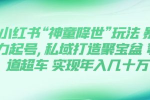 （7673期）小红书“神童降世”玩法 暴力起号,私域打造聚宝盆 弯道超车 实现年入几十万