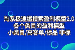 （7737期）淘系极速爆搜索盈利模型2.0，各个类目的盈利模型，小类目/高客单/标品 非标