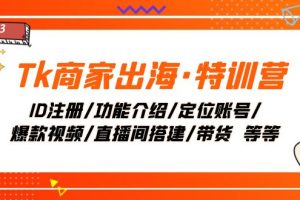 （7974期）Tk商家出海·特训营：ID注册/功能介绍/定位账号/爆款视频/直播间搭建/带货.