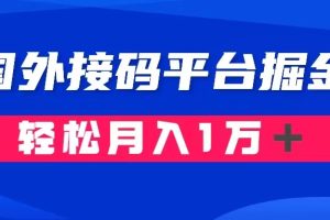 （8058期）通过国外接码平台掘金卖账号： 单号成本1.3，利润10＋，轻松月入1万＋