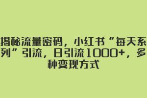 （8179期）揭秘流量密码，小红书“每天系列”引流，日引流1000+，多种变现方式