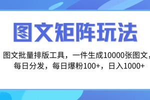 （8239期）图文批量排版工具，矩阵玩法，一键生成10000张图，每日分发多个账号，每…