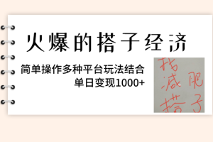 （8263期）火爆的搭子经济，简单操作多种平台玩法结合，单日变现1000+