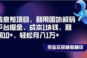 （8264期）信息差项目，利用国外解码平台掘金，成本1块钱，利润10+，轻松月入1万+