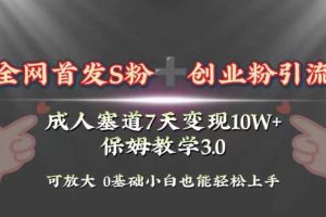 （8337期）全网首发s粉加创业粉引流变现，成人用品赛道7天变现10w+保姆教学3.0