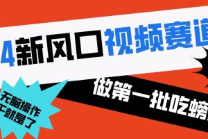 （8519期）2024新风口视频赛道 做第一批吃螃蟹的人 10分钟一条原创视频 小白无脑操作1