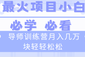 （8569期）导师训练营互联网最牛逼的项目没有之一，新手小白必学，月入2万+轻轻松松