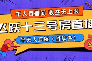 （8711期）爆火飞跃十三号房半无人直播，一场直播上千人，日入过万！（附软件）