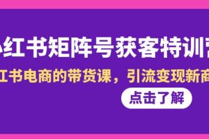 （8909期）小红书-矩阵号获客特训营-第10期，小红书电商的带货课，引流变现新商机