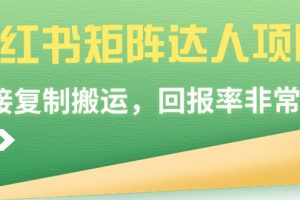 （9019期）小红书矩阵达人项目，直接复制搬运，回报率非常高