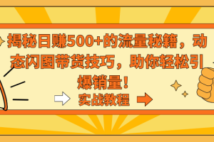 （9058期）揭秘日赚500+的流量秘籍，动态闪图带货技巧，助你轻松引爆销量！