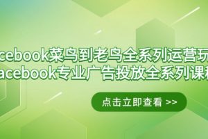 （9065期）Facebook-菜鸟到老鸟全系列运营玩法+Facebook-专业广告投放全系列课程