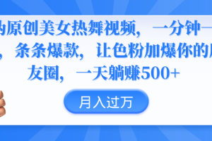 （9131期）伪原创美女热舞视频，条条爆款，让色粉加爆你的朋友圈，轻松躺赚500+