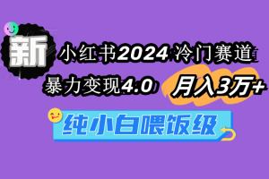 （9134期）小红书2024冷门赛道 月入3万+ 暴力变现4.0 纯小白喂饭级