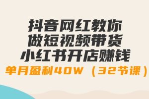 （9136期）抖音网红教你做短视频带货+小红书开店赚钱，单月盈利40W