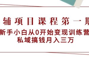 （9227期）教辅项目课程第一期：新手小白从0开始变现训练营  私域搞钱月入三万