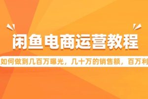 （9560期）闲鱼电商运营教程：如何做到几百万曝光，几十万的销售额，百万利润