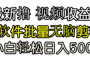 （9569期）发视频撸收益，软件无脑批量剪辑，第一天发第二天就有钱