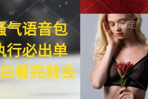 （9589期）执行就出单，日入2000+，超火骚气语音包，小白看完课程就能马上实操