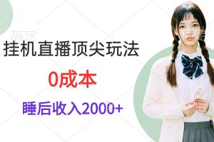 （9715期）挂机直播顶尖玩法，睡后日收入2000+、0成本，视频教学