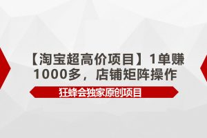 （9849期）【淘宝超高价项目】1单赚1000多，店铺矩阵操作