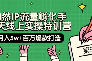 （9881期）自然IP流量孵化手 14天线上实操特训营【第9期】月入5w+百万爆款打造 (74节)