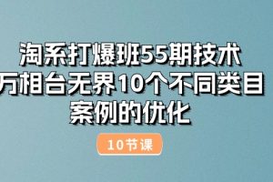 （10996期）淘系打爆班55期技术：万相台无界10个不同类目案例的优化（10节）