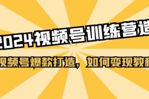 （11135期）2024视频号训练营，视频号爆款打造，如何变现教程（20节课）