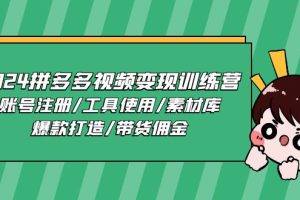 （11137期）2024拼多多视频变现训练营，账号注册/工具使用/素材库/爆款打造/带货佣金