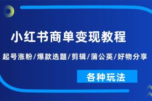 （11164期）小红书商单变现教程：起号涨粉/爆款选题/剪辑/蒲公英/好物分享/各种玩法