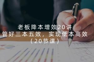 （11238期）老板 降本增效20讲，管好 三本五效，实现低本高效（20节课）