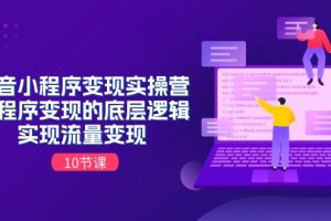 （11256期）抖音小程序变现实操营，小程序变现的底层逻辑，实现流量变现（10节课）