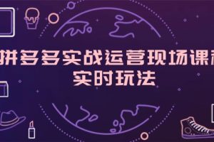 （11759期）拼多多实战运营现场课程，实时玩法，爆款打造，选品、规则解析