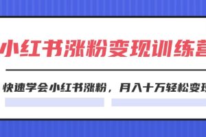 （11762期）2024小红书涨粉变现训练营，快速学会小红书涨粉，月入十万轻松变现(40节)