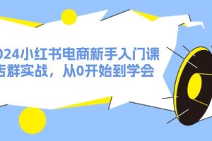 （11988期）2024小红书电商新手入门课，店群实战，从0开始到学会（31节）