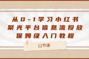 （12020期）从0-1学习小红书 聚光平台信息流投放，保姆级入门教程（12节课）