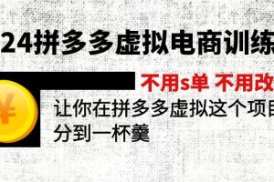 （12024期）2024拼多多虚拟电商训练营 不s单 不改销量  做虚拟项目分一杯羹(更新10节)