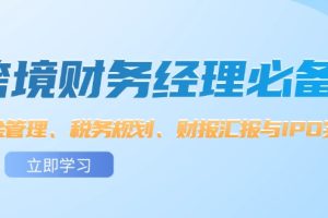 （12323期）跨境 财务经理必备：资金管理、税务规划、财报汇报与IPO实战